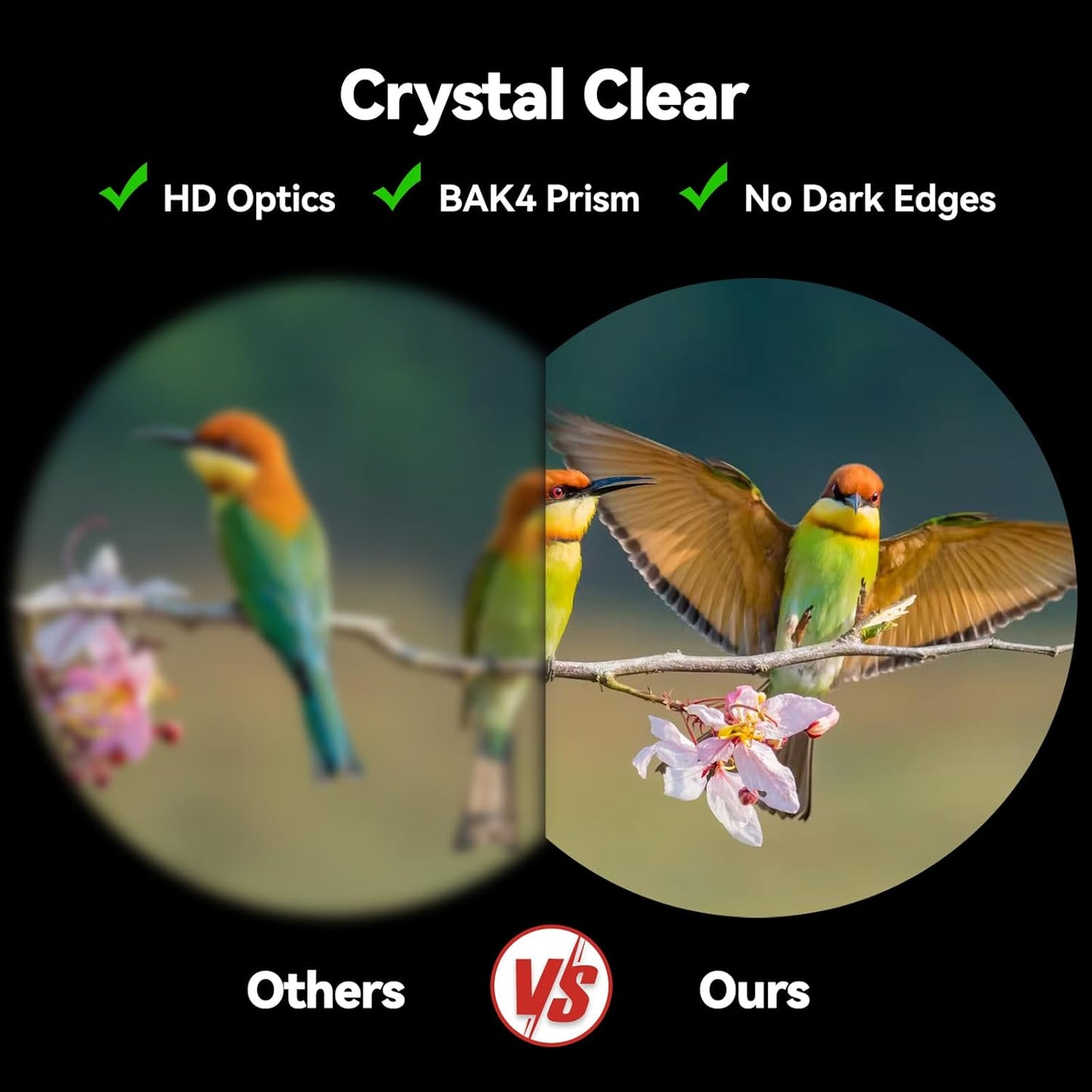 Binoculars for Adults High Powered: 12x42 HD Zoom Binocular for Bird Watching Hunting - Powerful Lightweight Waterproof Binoculars